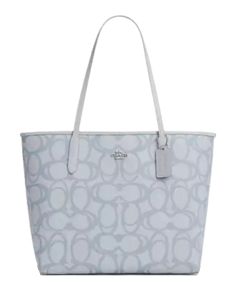This Coach Mollie Tote Bag 25