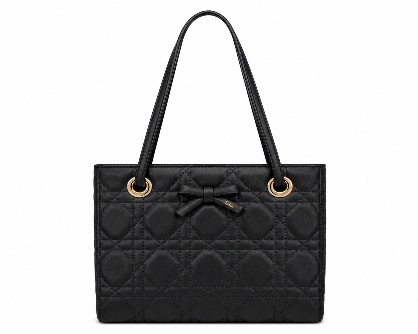 Dior Promenade Shopping Bag