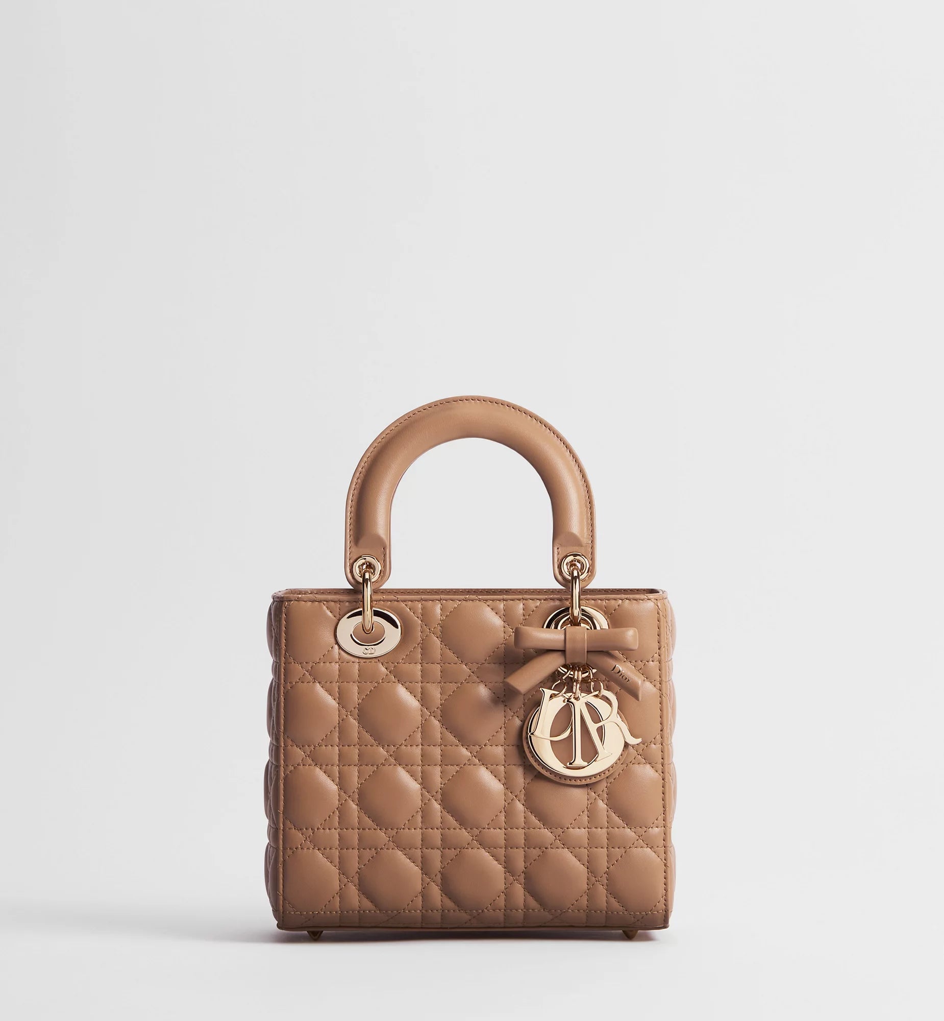 Mini Lady Dior Bag