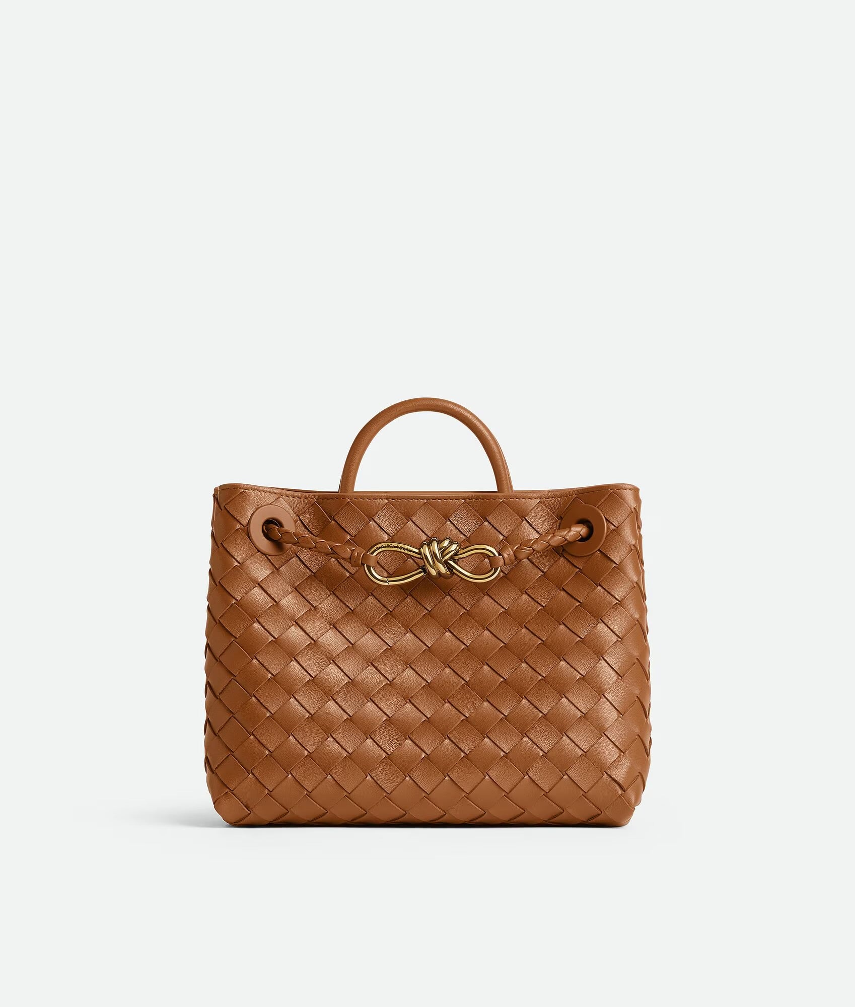 Bottega Veneta Andiamo Bag