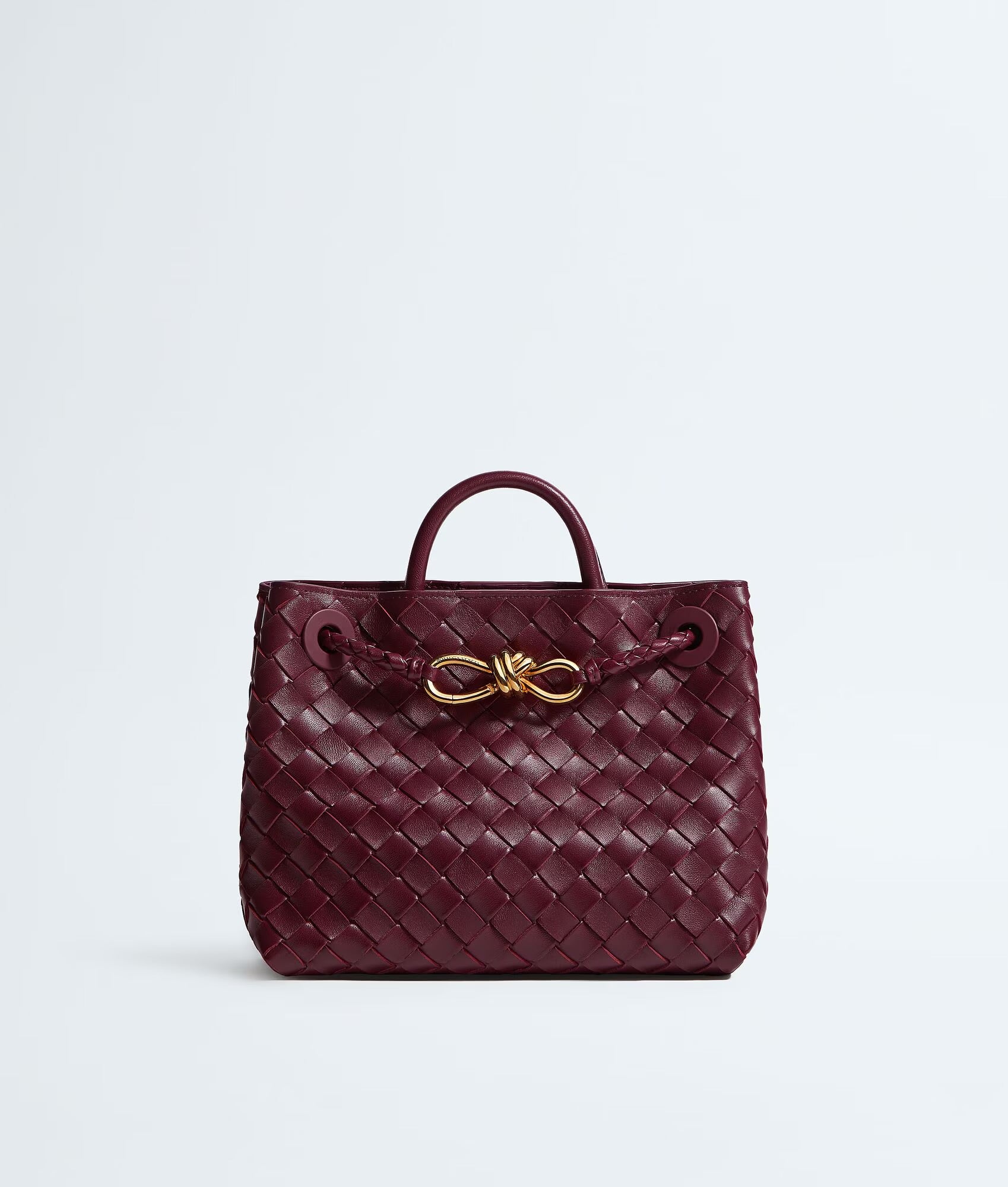 Bottega Veneta Andiamo Bag