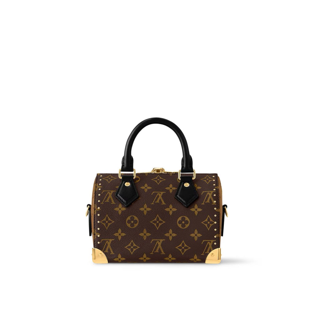 Louis Vuitton Speedy Trunk 20 bag